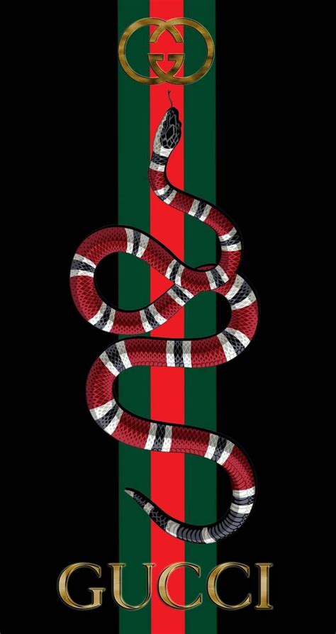 gucci snakeds|Gucci snake drawing.